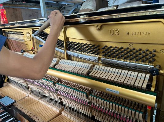 Kiểm tra soundboard và hệ thống dây đàn piano Yamaha Nhật nội địa trước khi bảo dưỡng
