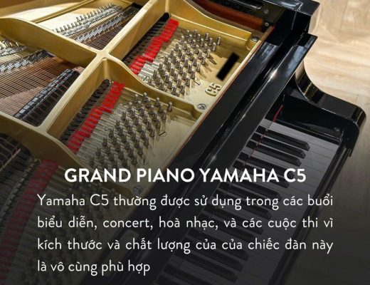 Khung gang và chốt lên dây trong piano grand Yamaha C5