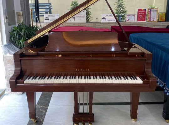 grand piano yamaha c5 màu gỗ tại showroom sky music