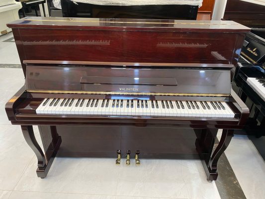 Piano Waldstein 120W có tốt không