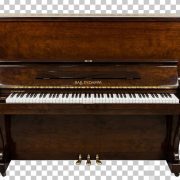 Piano Ballindamm B130 Nhật bãi