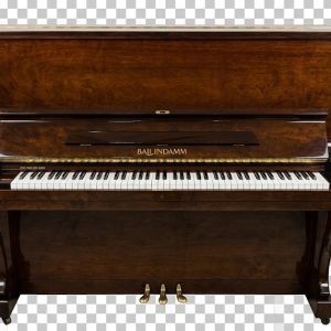 Piano Ballindamm B130 Nhật bãi