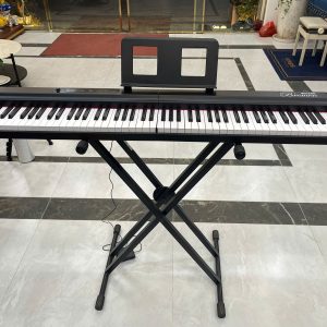 Đàn Piano Bremen BM300 – Sự Lựa Chọn Phù Hợp