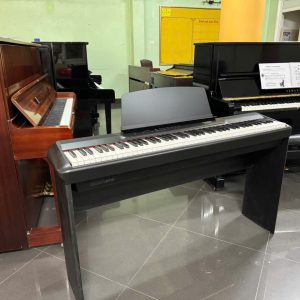 Đ𝐚̀𝐧 𝐏𝐢𝐚𝐧𝐨 𝐅𝐥𝐲𝐤𝐞𝐲𝐬 𝐅𝐏𝟔