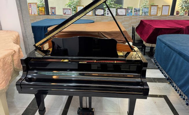 Piano grand biểu diễn trong phòng khách gia đình