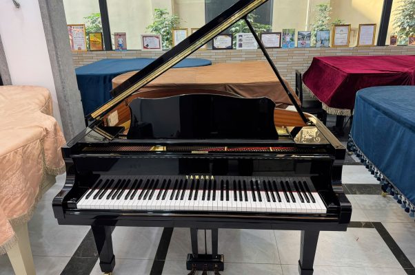 grand piano màu trắng trưng bày trong showroom Sky Music