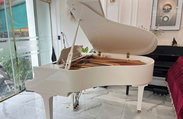 nhiều cây grand piano trưng bày trong showroom piano