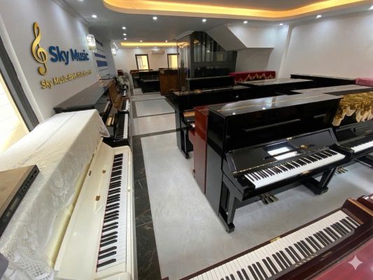 Nhân viên Sky Music tư vấn khách hàng chọn piano Yamaha phù hợp tài chính tại Long Biên