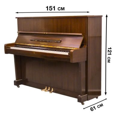 Kích thước thực tế piano Yamaha U1 phù hợp nhiều không gian gia đình và căn hộ tại Hà Nội