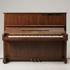 Piano cơ Yamaha MX300MR Nhật bãi tại showroom Sky Music