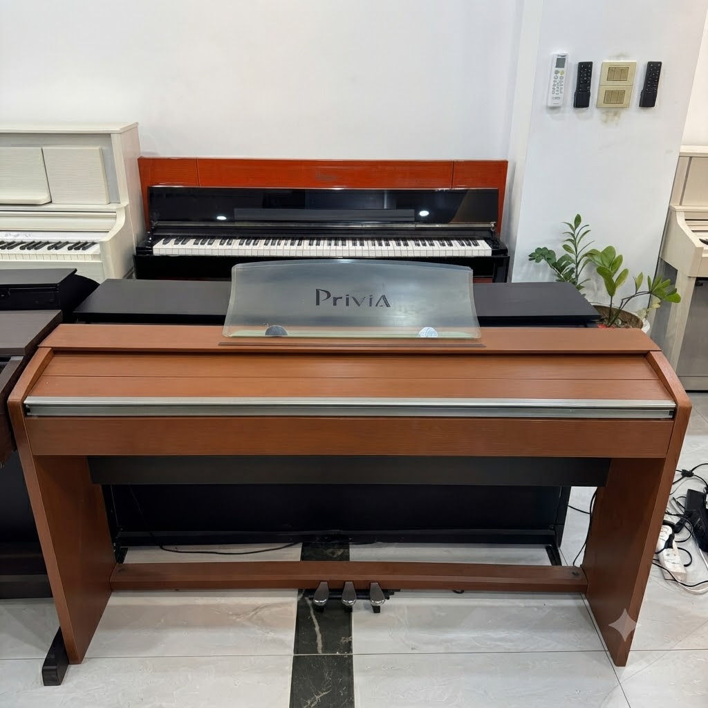 piano dien Casio PX-730